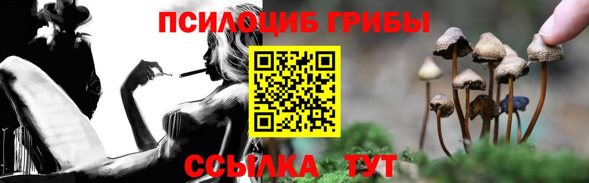 Галлюциногенные грибы GOLDEN TEACHER  Вход с VPN  Избербаш  Псилоцибиновые грибы ЛСД 